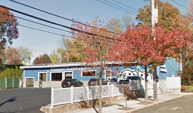 Pleasant Plains Animal Hospital