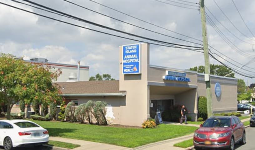 Staten Island Animal Hospital
