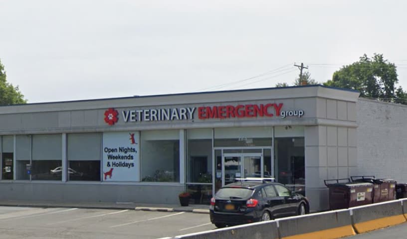 VEG ER for Pets