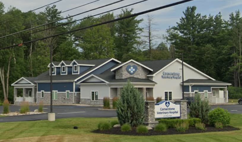 Cornerstone Veterinary Hospital of Clifton Park