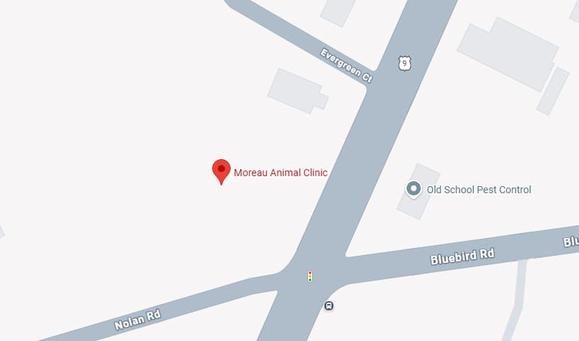 Moreau Animal Clinic
