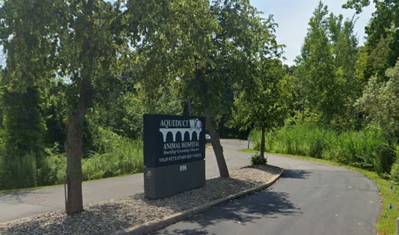 Aqueduct Animal Hospital