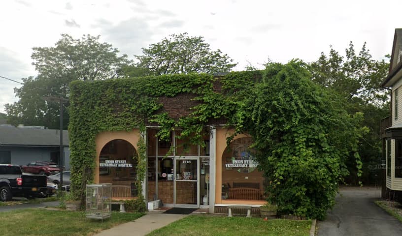 Union St Veterinary Hospital