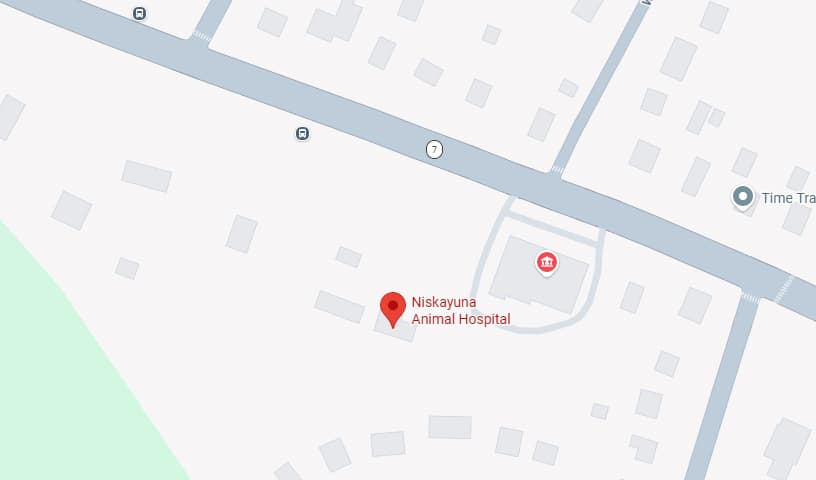 Niskayuna Animal Hospital