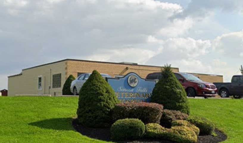 Seneca Falls Veterinary Clinic