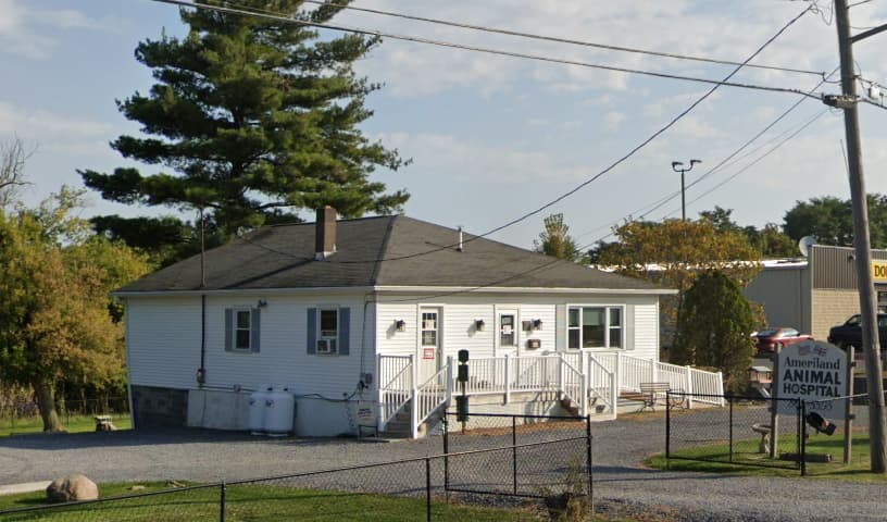 Ameriland Animal Hospital