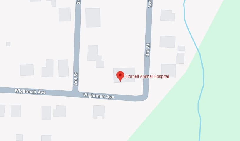 Hornell Animal Hospital