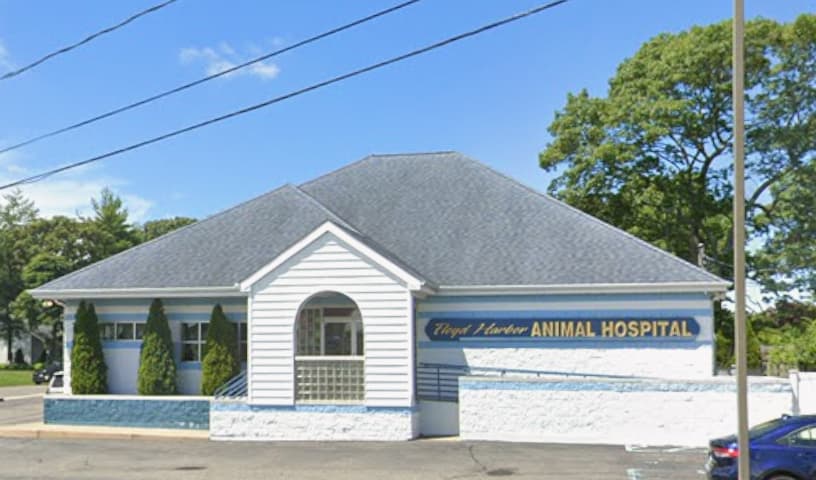 Floyd Harbor Animal Hospital