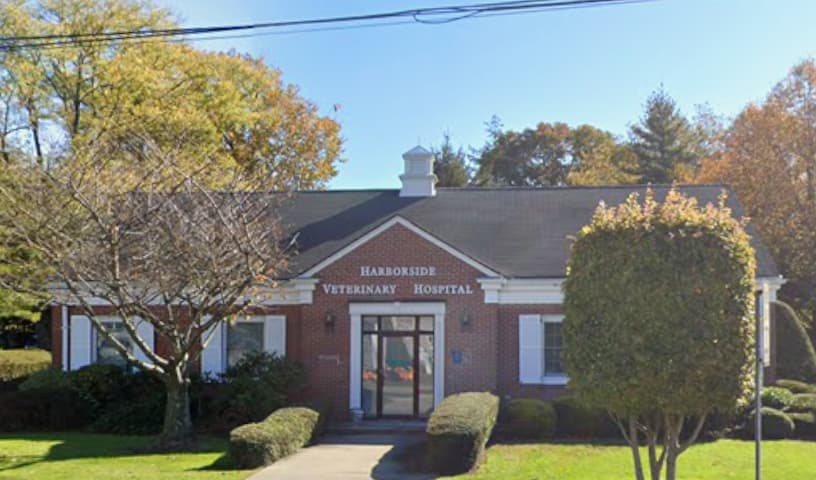 Harborside Veterinary Hospital