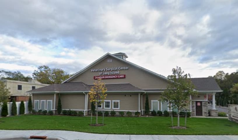 Veterinary Surgical Center of Long Island