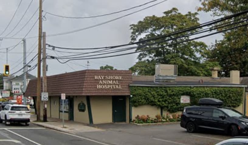 Bay Shore Animal Hospital