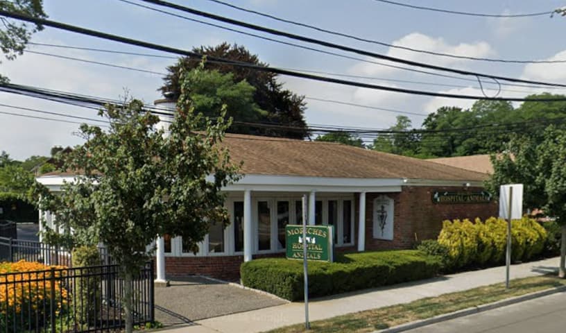 The Moriches Hospital For Animals