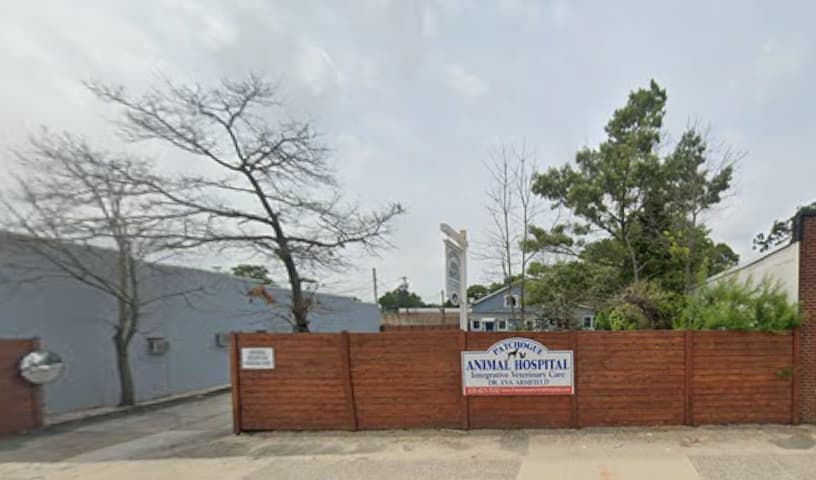 Patchogue Animal Hospital