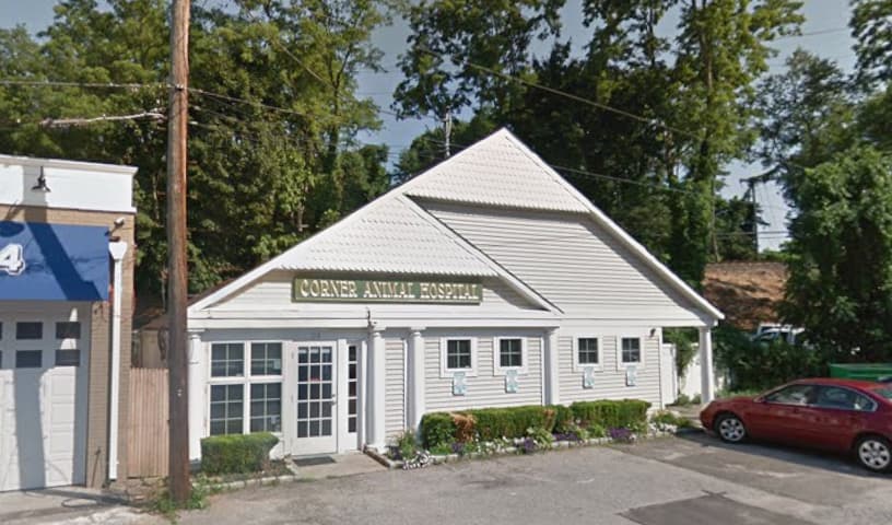 Corner Animal Hospital