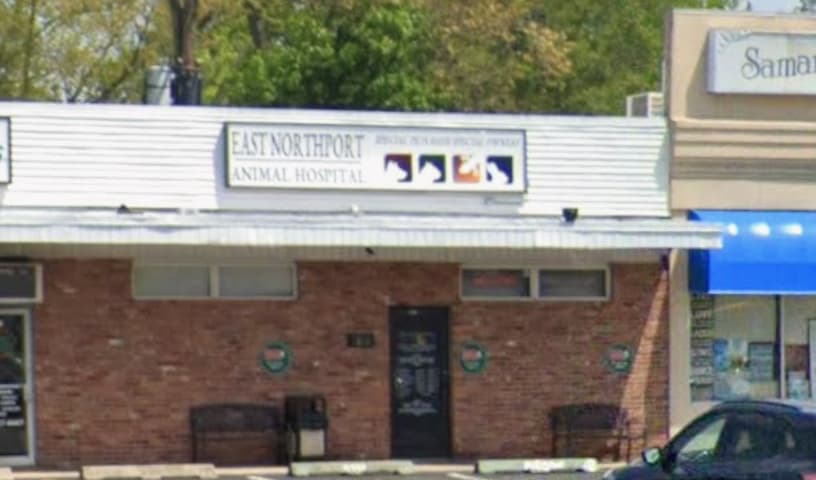 East Northport Animal Hospital
