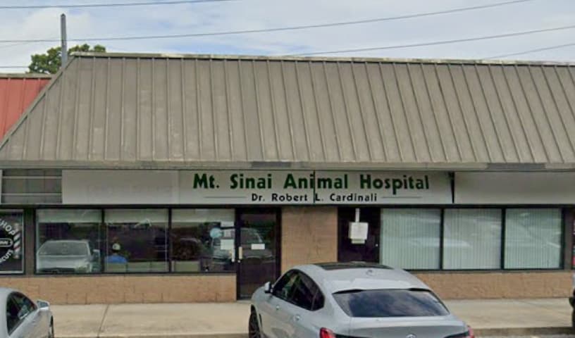 Mt Sinai Animal Hospital