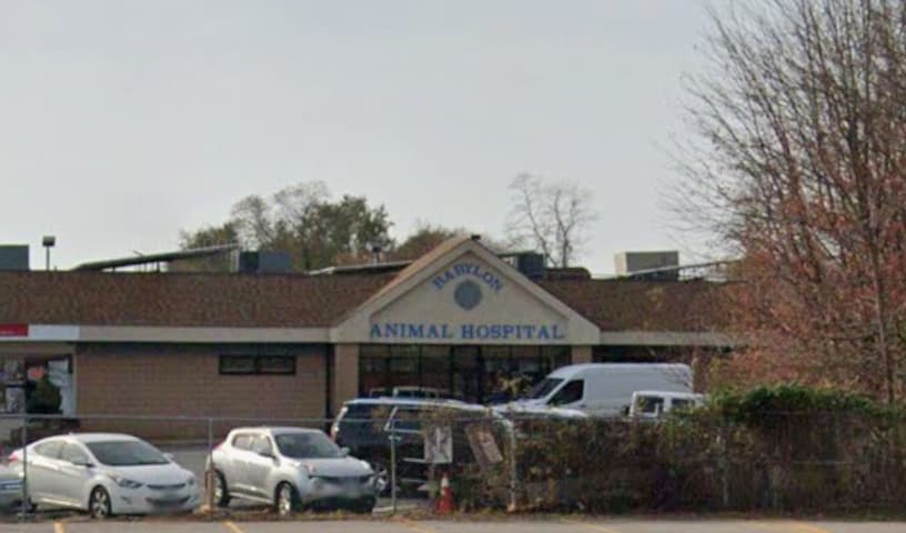 Babylon Animal Hospital