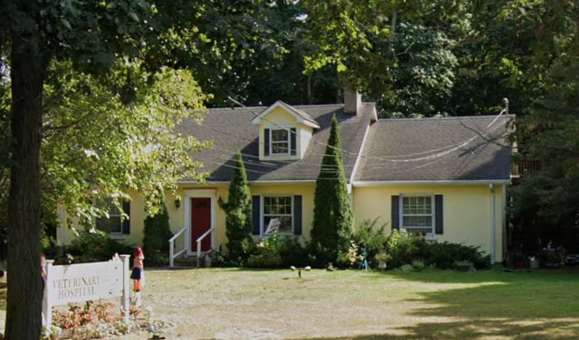 Aquebogue Veterinary Hospital