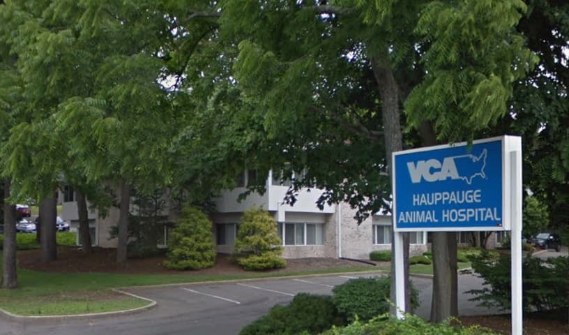 Hauppauge Animal Hospital