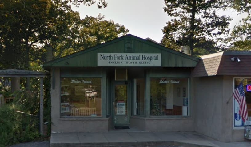 North Fork Animal Hospital