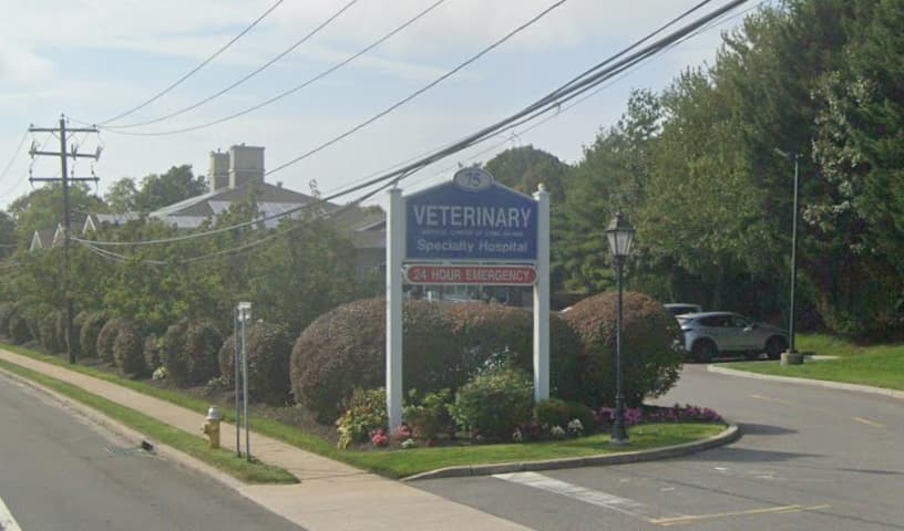 Veterinary Medical Center of Long Island