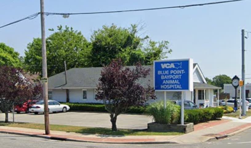 Blue Point-Bayport Animal Hospital