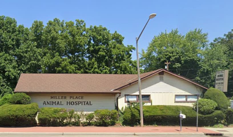 Miller Place Animal Hospital