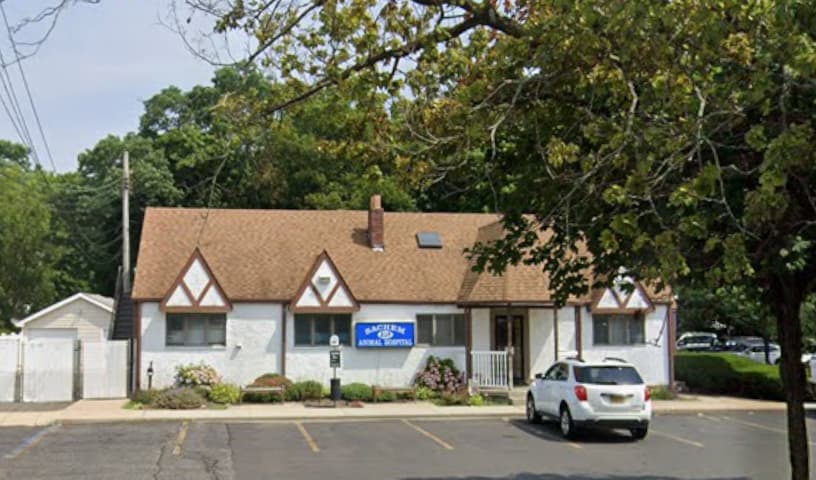 Sachem Animal Hospital