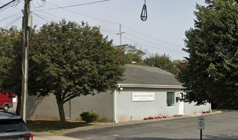 Bayview Animal Hospital