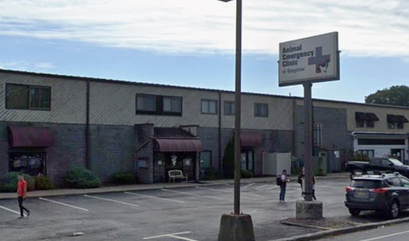 Animal Emergency Clinic of The Hudson Valley