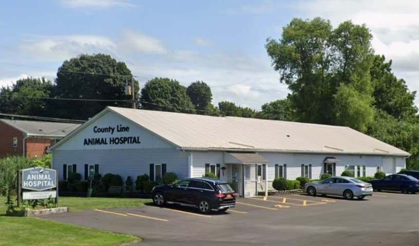 County Line Animal Hospital
