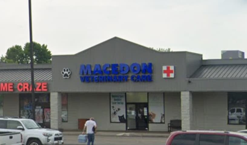 Macedon Veterinary Care