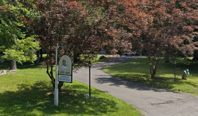 South Salem Animal Hospital