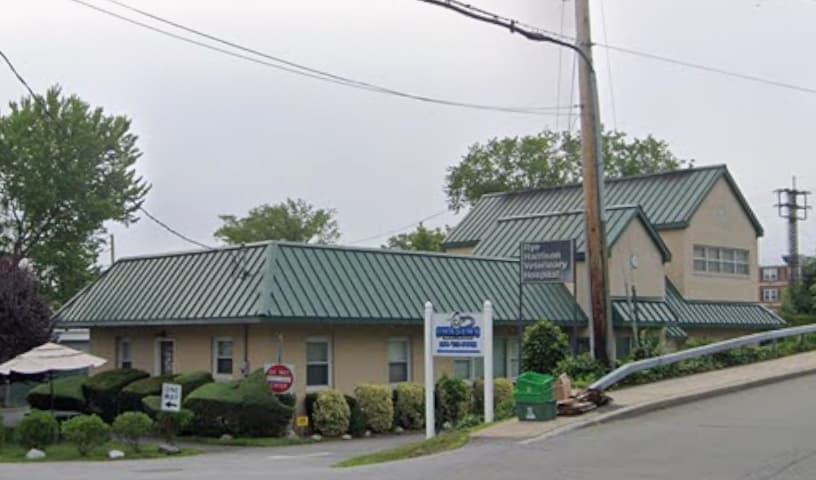 Rye Harrison Veterinary Hospital