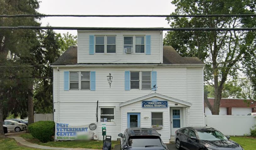 Yorktown Animal Hospital