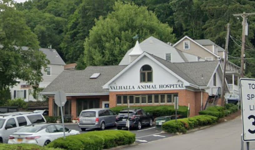 Valhalla Animal Hospital