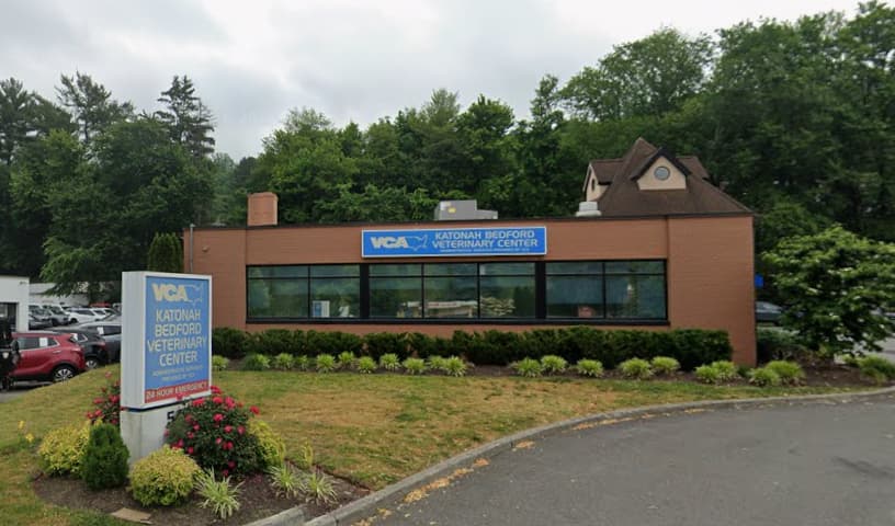 Katonah Bedford Veterinary Center