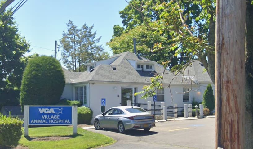 Village Animal Hospital