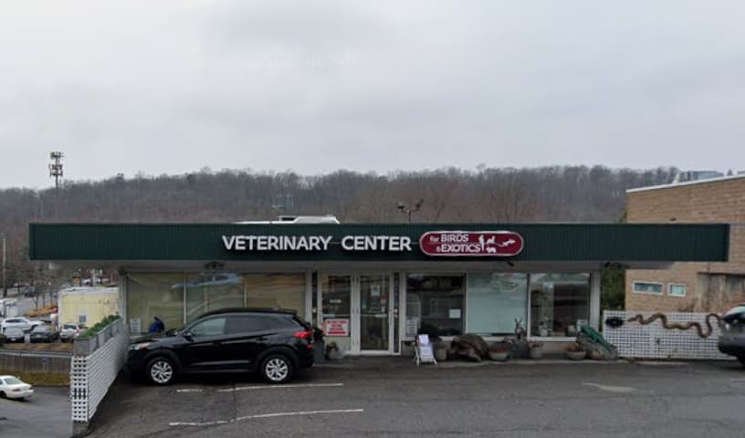 Veterinary Center for Birds & Exotics