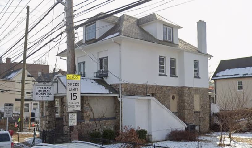 Pelham Animal Hospital