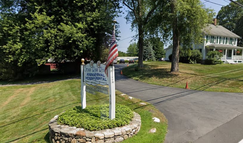 Cross River Animal Hospital