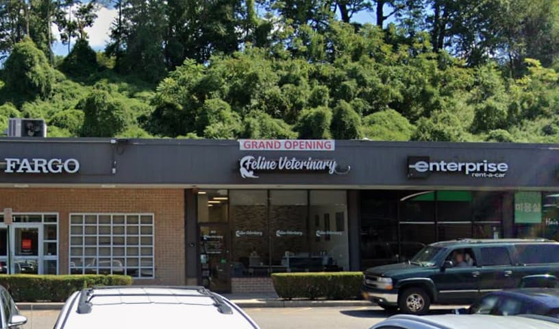 Feline Veterinary Medical Center