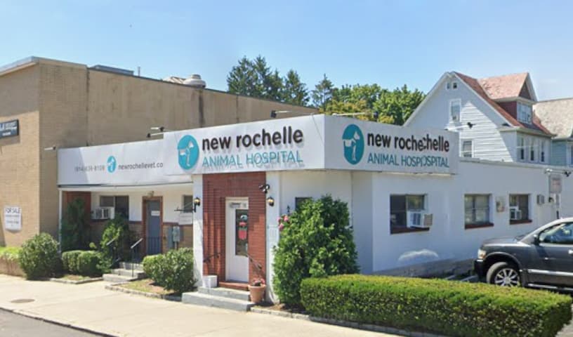 New Rochelle Animal Hospital