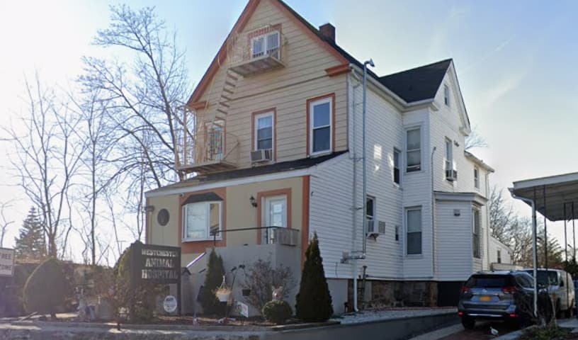 Westchester Animal Hospital