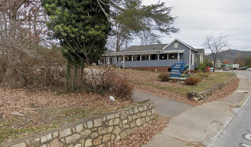 Blue Ridge Animal Hospital Inc