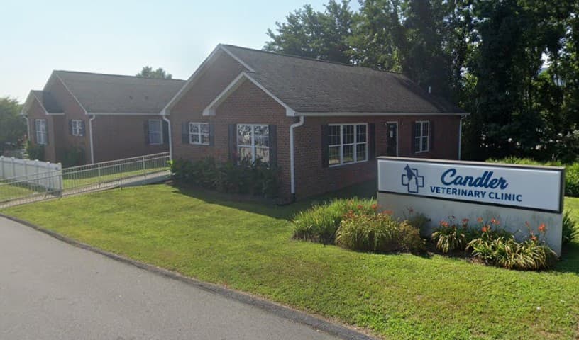 Candler Veterinary Clinic