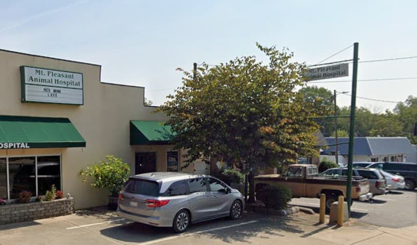 Mt Pleasant Animal Hospital