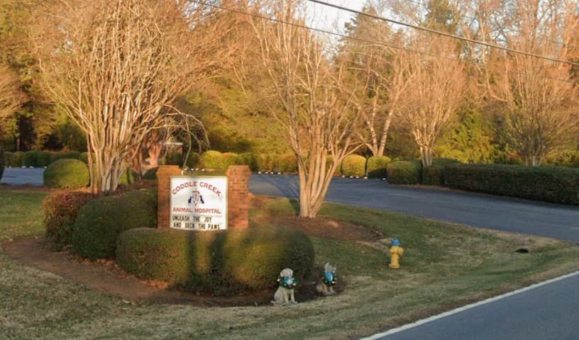 Coddle Creek Animal Hospital