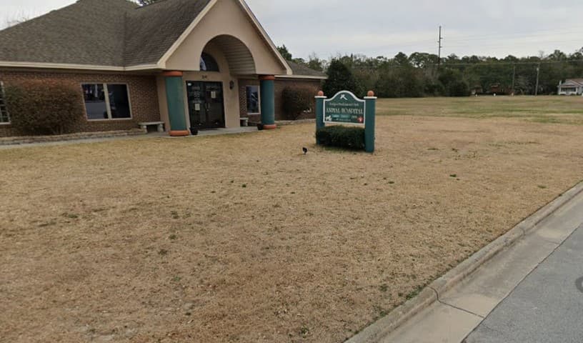 Bridges Professional Park Animal Hospital