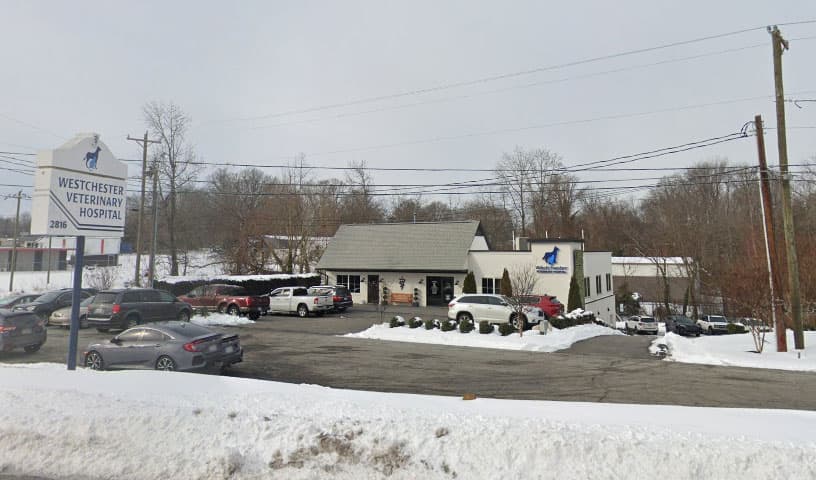 Westchester Veterinary Hospital
